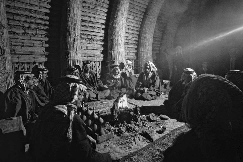 A mudhif, or reed house, is built using techniques that date back to the Sumerians. This was a particularly large one built for guests. From the rack of pots, our host served coffee, unsweetened and strong, in tiny cups. Greetings among the men customarily began with 'How are you? How is your family? Your crops? Your animals?" repeated over and over and over, before they moved on to other subjects.Here a herd rests in the midday sun amid homes.