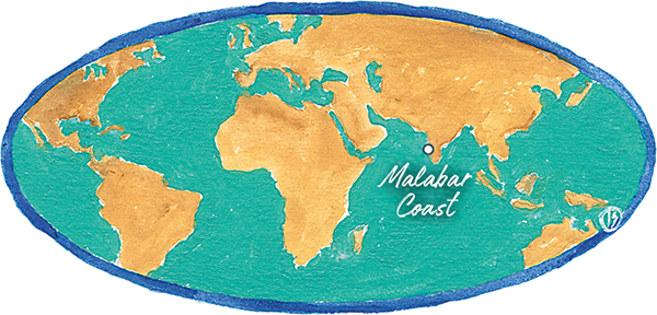 Malabar Coast - Pepper Map