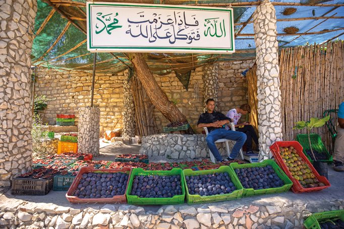 A farmer sells figs that he harvested in the Kasra district of Siliana in Tunisia. 