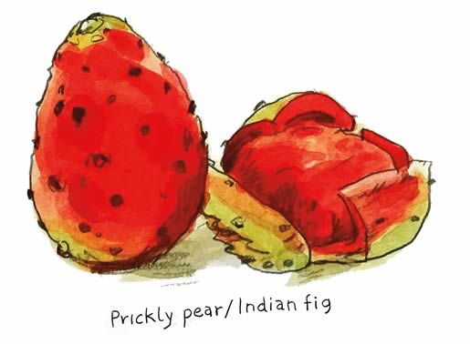 Prickly pear / Indian fig • Mission Figs