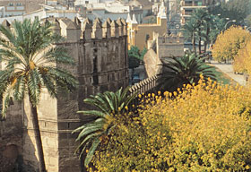 A short section of the old city walls, dating from Almohad times, survives in the Macarena quarter.