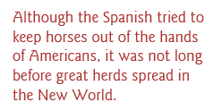 Although the Spanish tried to keep horses out of the hands of Americans, it was not long before great herds spread in the New World. 