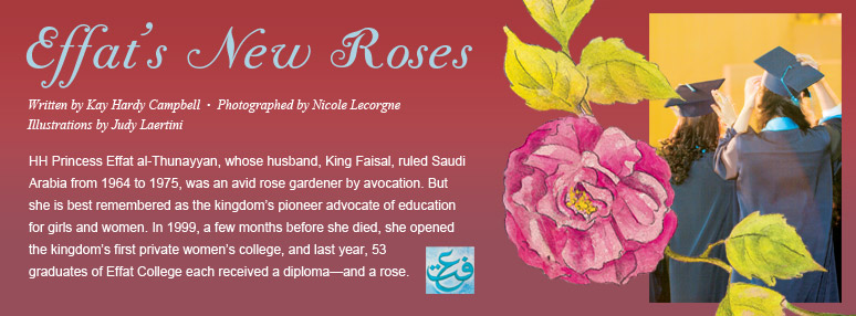 Effat's New Roses - Written by Kay Hardy Campbell, Photographed by Nicole Lecorgne, Illustrations by Judy Laertini