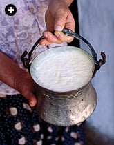 A pot of fresh cow’s-milk yogurt with its characteristic wrinkled top layer of kaymak
