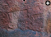 Near Bir Hima, in Saudi Arabia’s southern Najran region, a parade of piebald long-horned cattle, ibex, ostrich and camel-riders marches above the surrounding plains. The frieze shows a variety of styles, suggesting it was carved by several artisans at widely differing times.