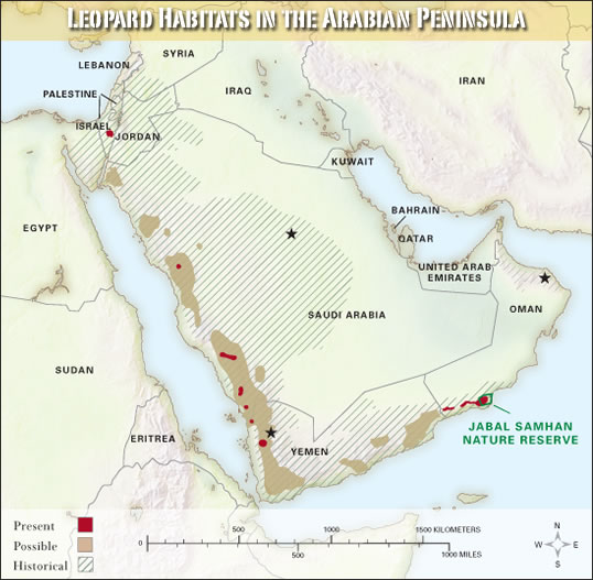 Leopard Habitats in the Arabian Peninsula