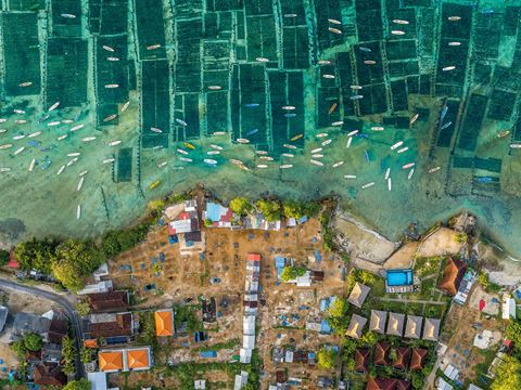 Steinmetz first scouted the seaweed farms of Bali, Indonesia, with Google Earth, “but when you are there, it’s always a surprise as you see people on the land (or on the water) and how they interact with it. It’s also more 3D, from the oblique perspective of the camera and, in this case, reflections.” He calls seaweed harvesting “a real bright spot in aquaculture because you’re growing food in a very sustainable way.”