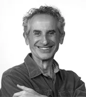 Karim Shamsi-Basha