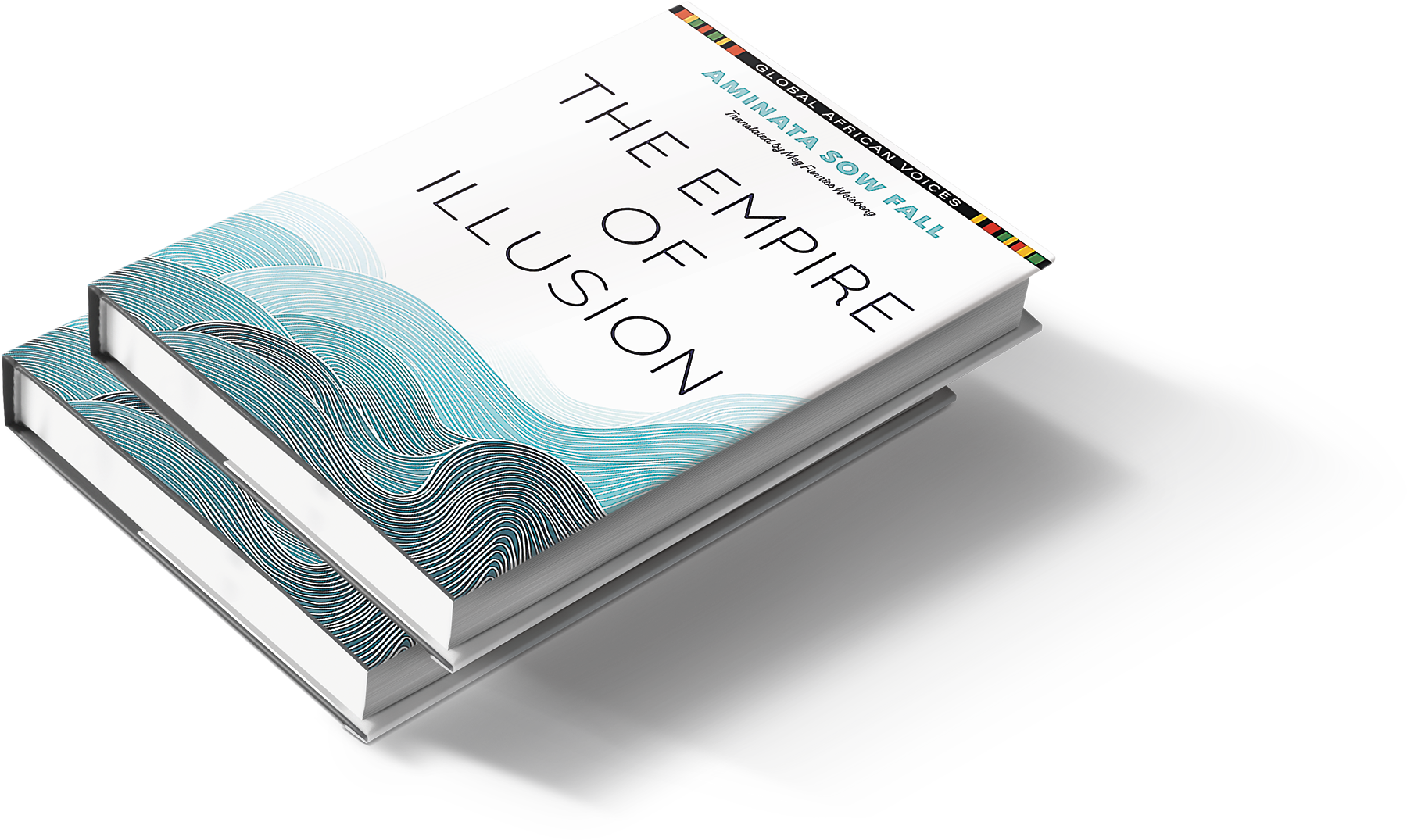 The Vanishing Sea book