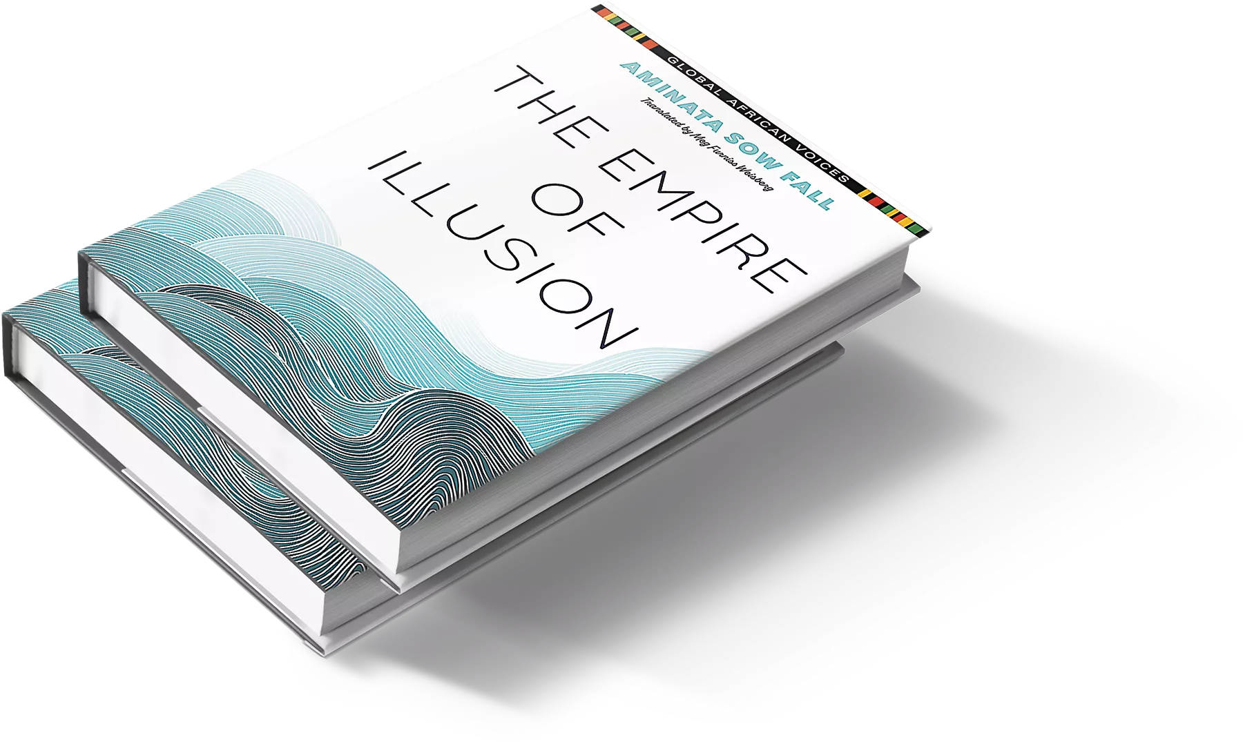The Vanishing Sea book