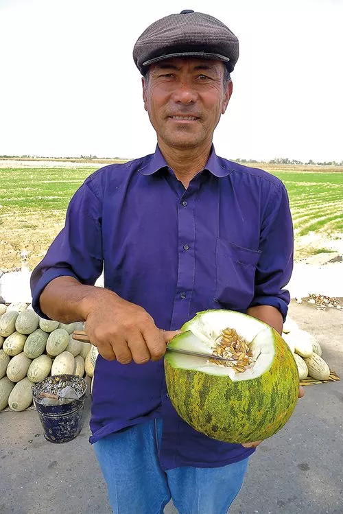 <p>Along the road between Tashkent and Samarkand, melon salesman Mirza Baxodir offers passersby samples of one of his Obinavat melons at his stall at the Sirdaryo bazaar. &ldquo;Anyone accustomed to this fruit in Europe,&rdquo; wrote Capt. Frederick Burnaby in 1876, &ldquo;would scarcely recognize its relationship with the delicate and highly perfumed melons of Khiva."</p>
