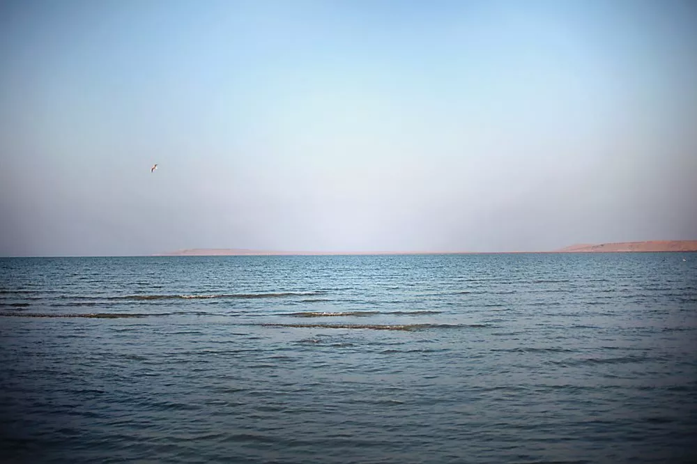 <p>Kazakh and international water management initiatives have helped the North Aral Sea increase its volume by an estimated 50 percent over the past decade. This year fishermen are catching some 22 species here, and catch numbers are rising.</p>
