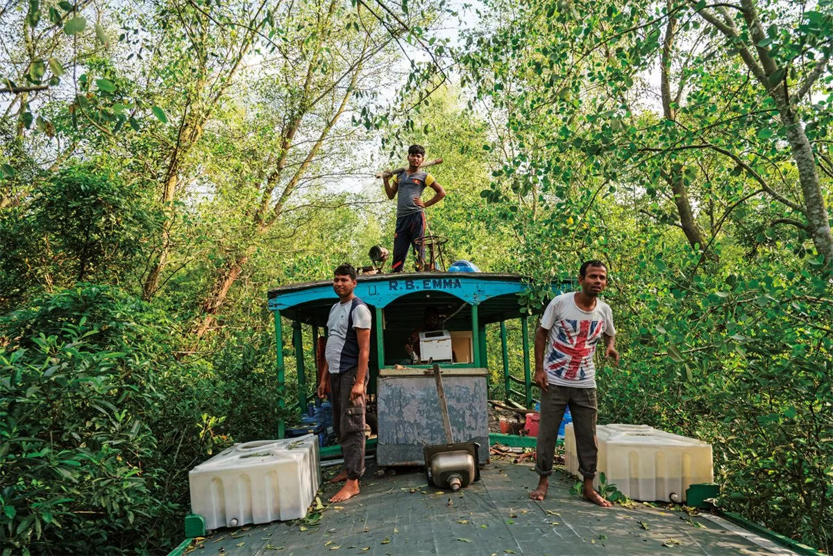 <p>Slipping through a narrow creek in territory inhabited by the endangered Bengal tiger, the crew of the R.B. Emma keeps alert.</p>
