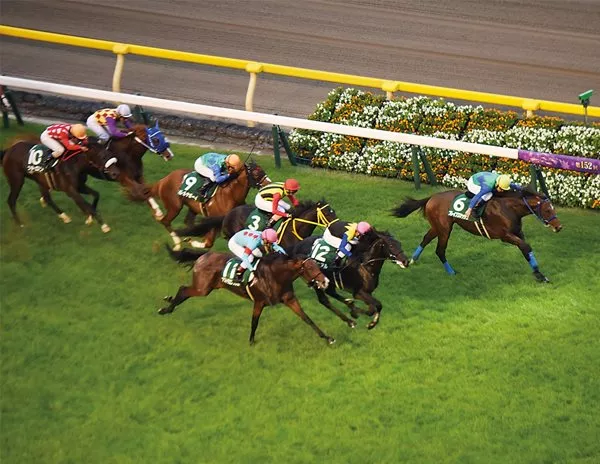 <p>By a nose, Brave Smash crosses the photo-finish line to win the 1,600-meter Saudi Arabia Royal Cup and earn the two-year-old and owner &yen;32.4 million ($280,000).</p>
