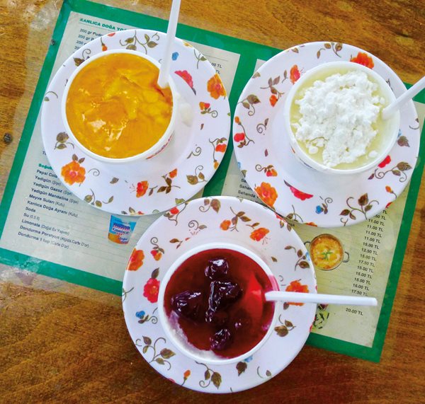 L_s-3-A_YOGURT_P1040627_50_lg?width=600&height=570&ext=.jpg