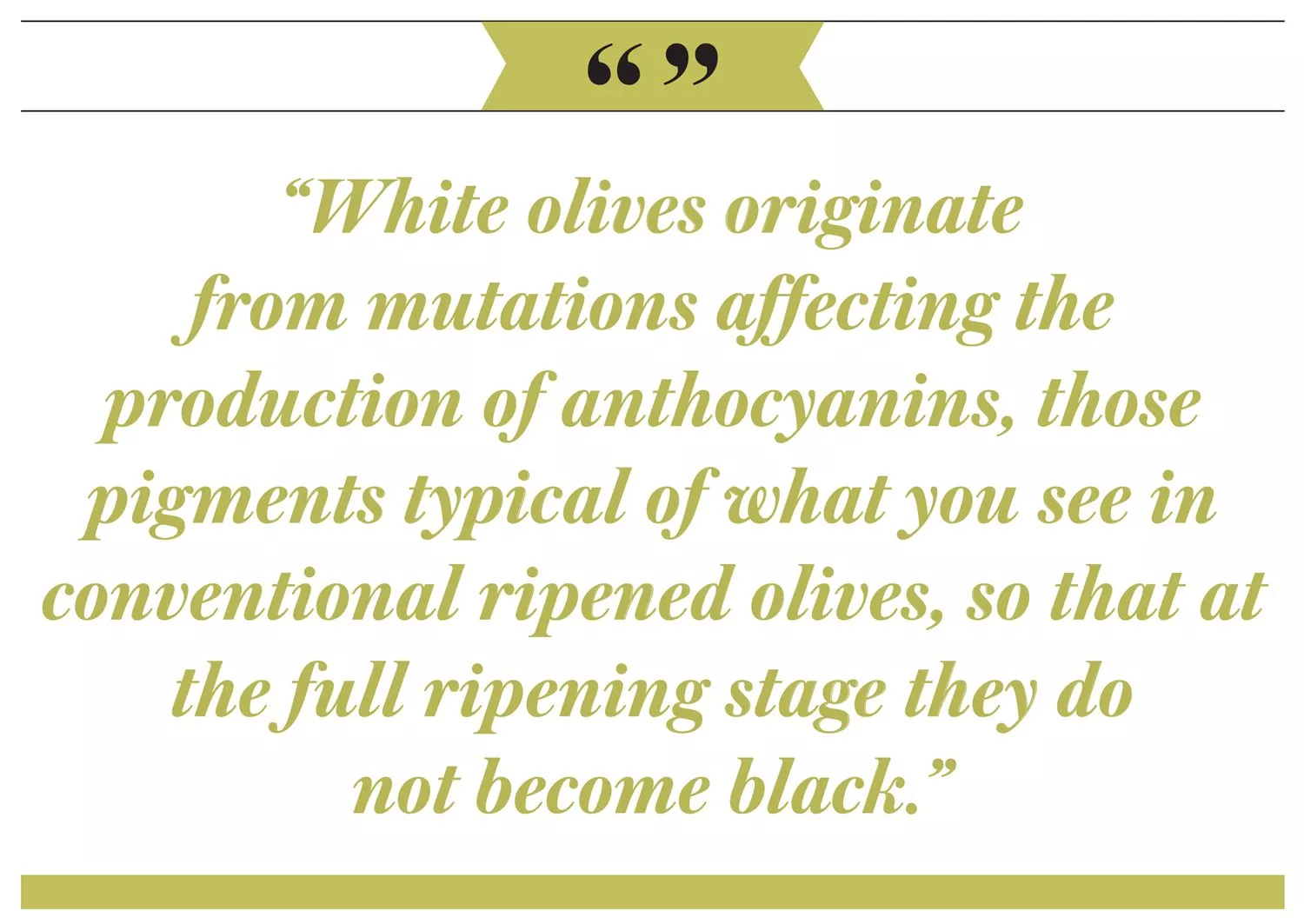 AQuote1?width=1500&height=1063&ext=.jpg