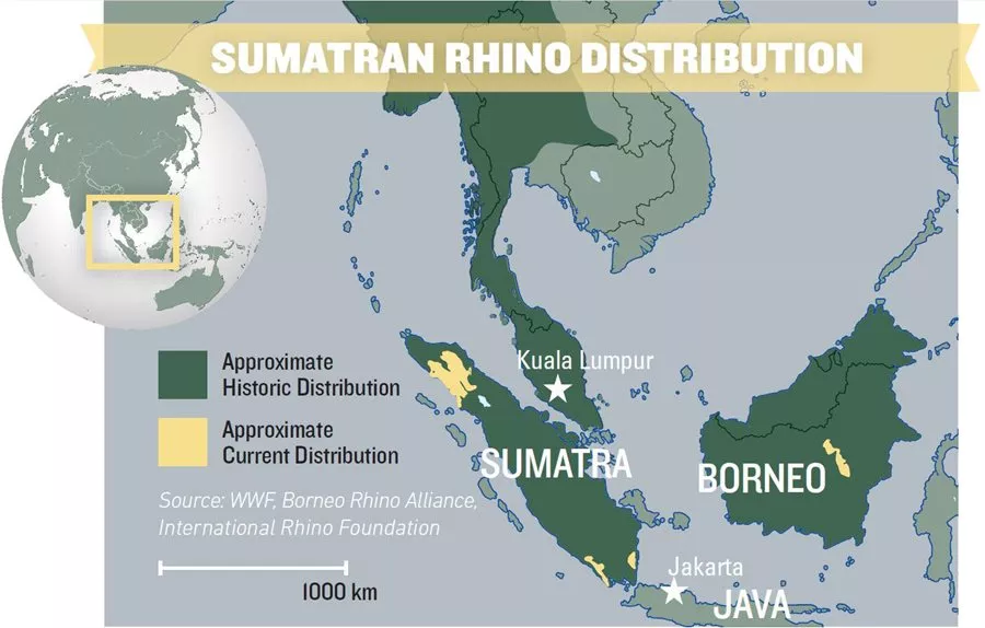 map?width=900&height=574&ext=.jpg