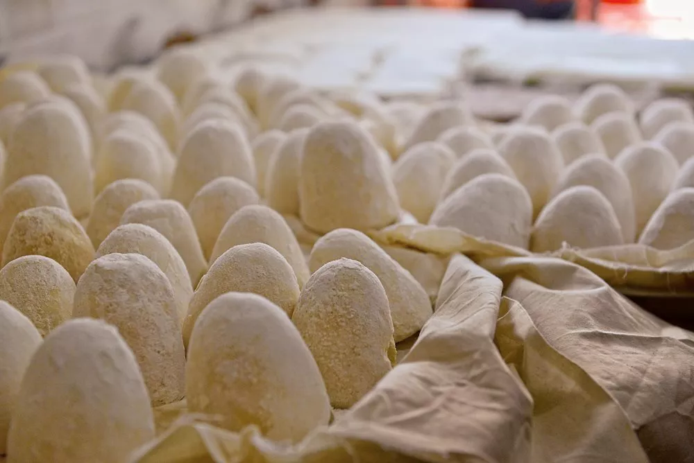 Jameed is made from sheep, or goat milk, thickened through fermentation into a yogurt dense enough to shape into egg-shaped balls. These are ready to be dried. If this is done in shade, the jameed will be white; if it is dried in the sun, it will take on a yellow cast.