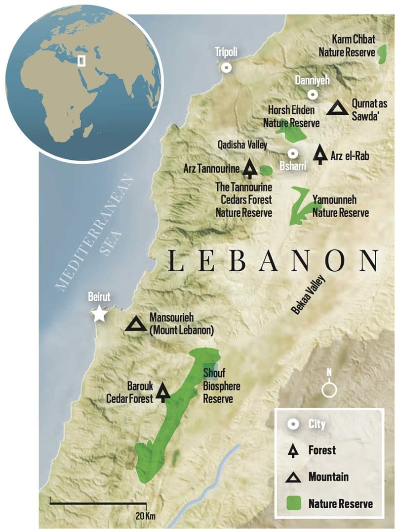 cedars-map?width=800&height=1069&ext=.jpg