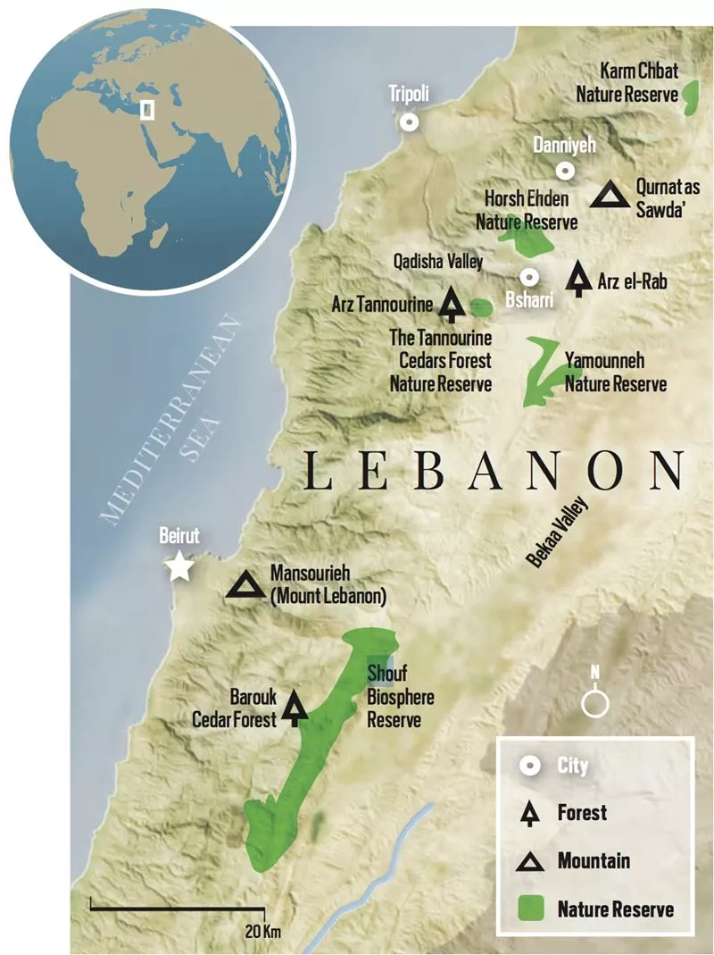 cedars-map?width=800&height=1069&ext=.jpg