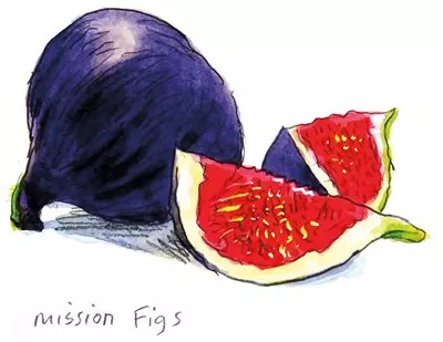 Prickly pear / Indian fig • Mission Figs