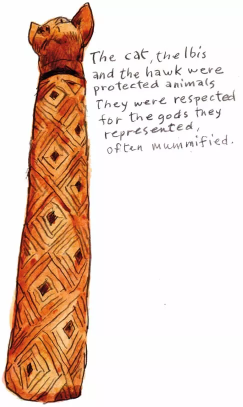 The cat, the ibis were protected animals.They were respected for the gods they represented, often mummified.