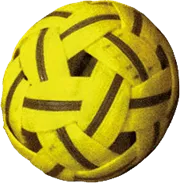 Sepak Takraw Ball