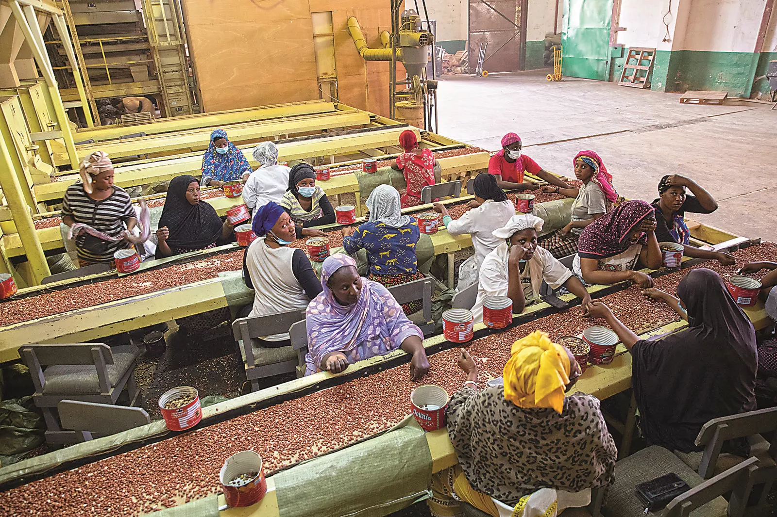 Inside the plant, after shelling machinery has shaken the husks from the nuts—which are, scientifically speaking, not nuts but legumes, or beans— employees sort and grade the nuts by hand and practiced eyes. 