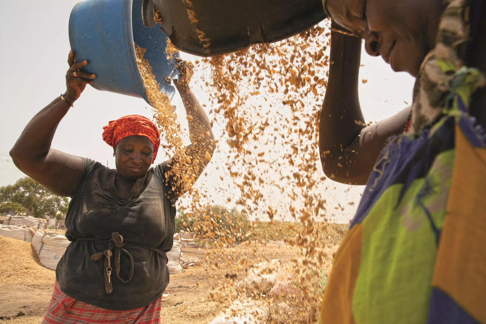 Nothing is wasted in the groundnut value chain, and the husks are used as fertilizer.