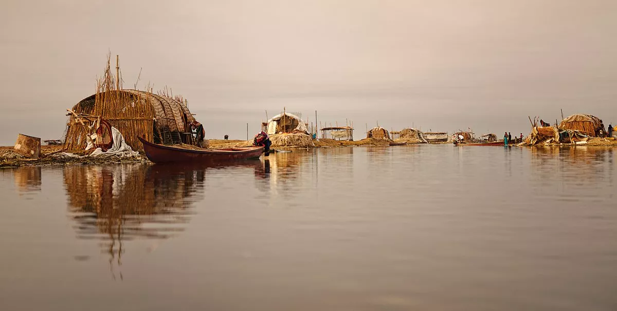 “An extraordinary architectural achievement with the simplest of materials,” wrote Thesiger of the barrel-vaulted, reed mudhifs that have provided shelter to people of the marshes for thousands of years. Though the extent of the marshes is much less today, mudhifs remain in use.