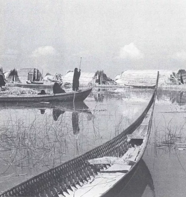 She was a beautiful craft that could carry as many as twelve people. Thirty-six feet long but only three and a half feet at her widest beam, she was carvel-built, flat-bottomed and covered outside with a smooth coating of bitumen over the wooden planks. The front swept forwards and upwards in a perfect curve to form a long, thin, tapering stem; the stern too rose in a graceful sweep. Two feet of the stern and of the bows were decked; there was a thwart a third of the way forward, and a strengthening beam across the boat two-thirds of the way forward. Movable boards covered the floor. The top part of the ribs was planked along the inside and studded with five rows of flat, round nail-heads two inches across. These decorative nails were the distinguishing mark of a tarada which only a sheikh may own.