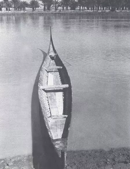 She was a beautiful craft that could carry as many as twelve people. Thirty-six feet long but only three and a half feet at her widest beam, she was carvel-built, flat-bottomed and covered outside with a smooth coating of bitumen over the wooden planks. The front swept forwards and upwards in a perfect curve to form a long, thin, tapering stem; the stern too rose in a graceful sweep. Two feet of the stern and of the bows were decked; there was a thwart a third of the way forward, and a strengthening beam across the boat two-thirds of the way forward. Movable boards covered the floor. The top part of the ribs was planked along the inside and studded with five rows of flat, round nail-heads two inches across. These decorative nails were the distinguishing mark of a tarada which only a sheikh may own.