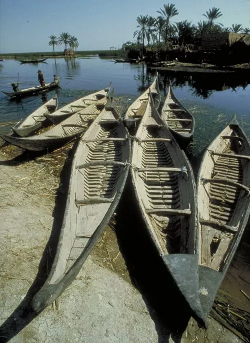 The equivalent of an urban parking lot, a marsh bank accommodates a fleet of mushhuf during midday break.
