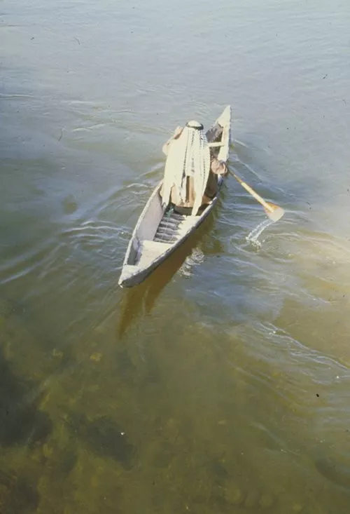 Navigating the marsh on a mushhuf.