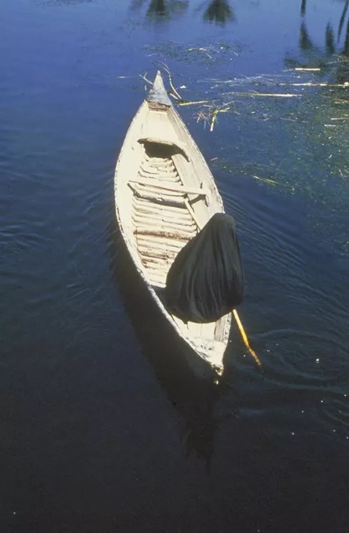 Navigating the marsh on a mushhuf.