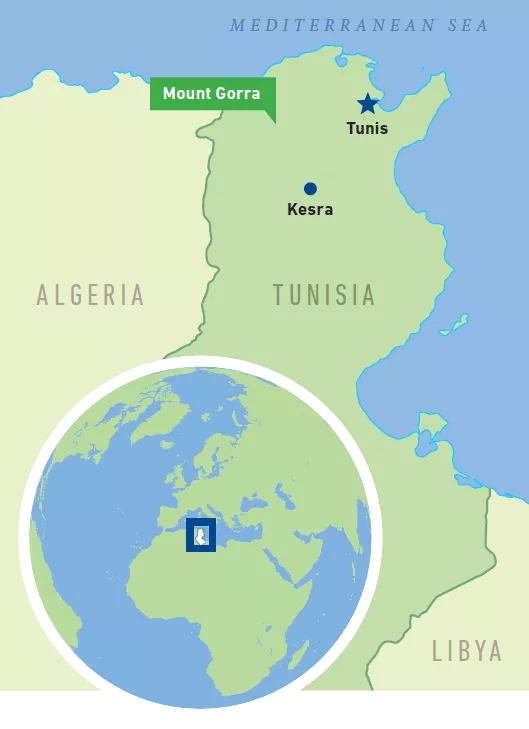 Map of Tunisia