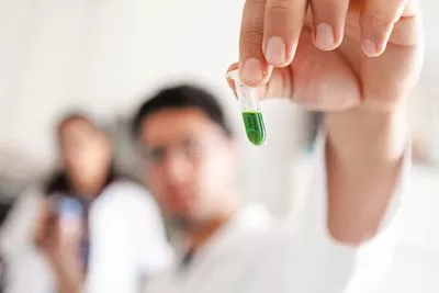 Scientists get DNA from the plants’ leaves ready to send to the University of Pisa in Italy, where genome sequences are identified.