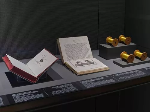 Artist renderings of the spider and loom, left and center, and spools of spider silk, right, are featured in the museum display.
