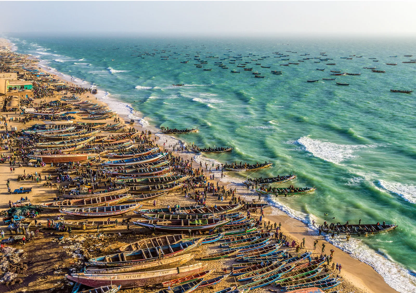In response to declining octopus numbers, the Mauritanian government has set  new quotas and shortened the seas.