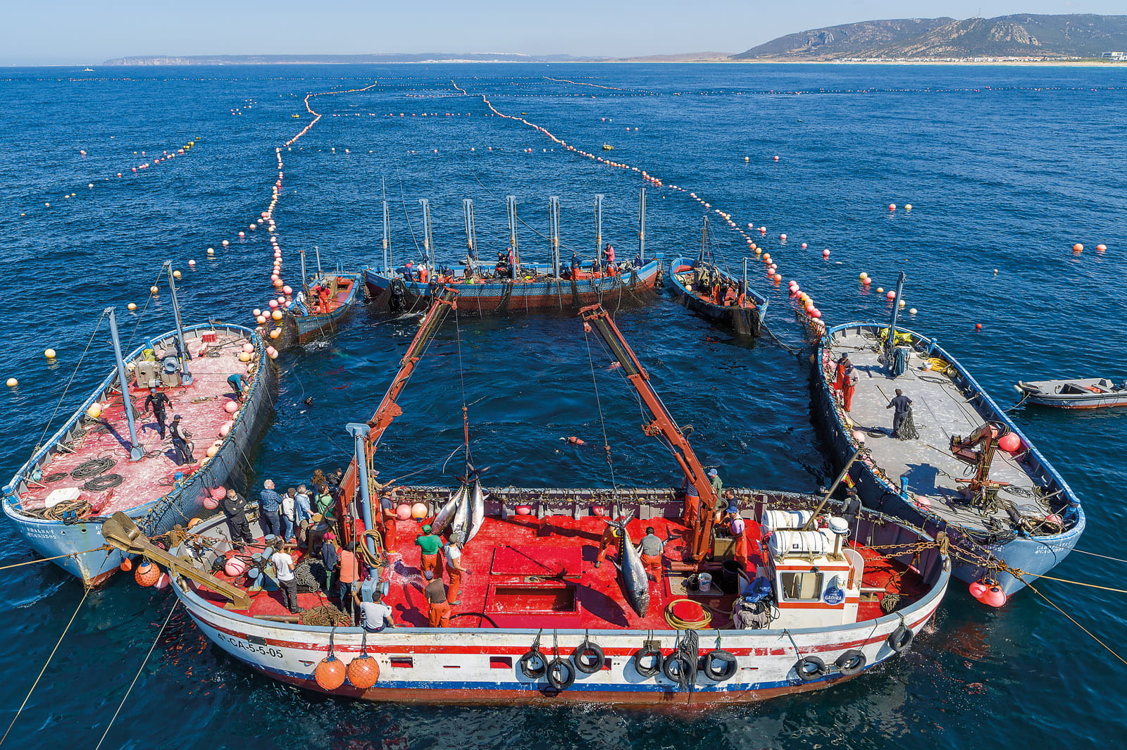 The almadraba, photographed off the coast of Cadiz, Spain, is a 3,000-year-old fishing method. Invented by the Phoenicians, promoted by the Romans and perfected by the Moors, it remains financially and ecologically viable.