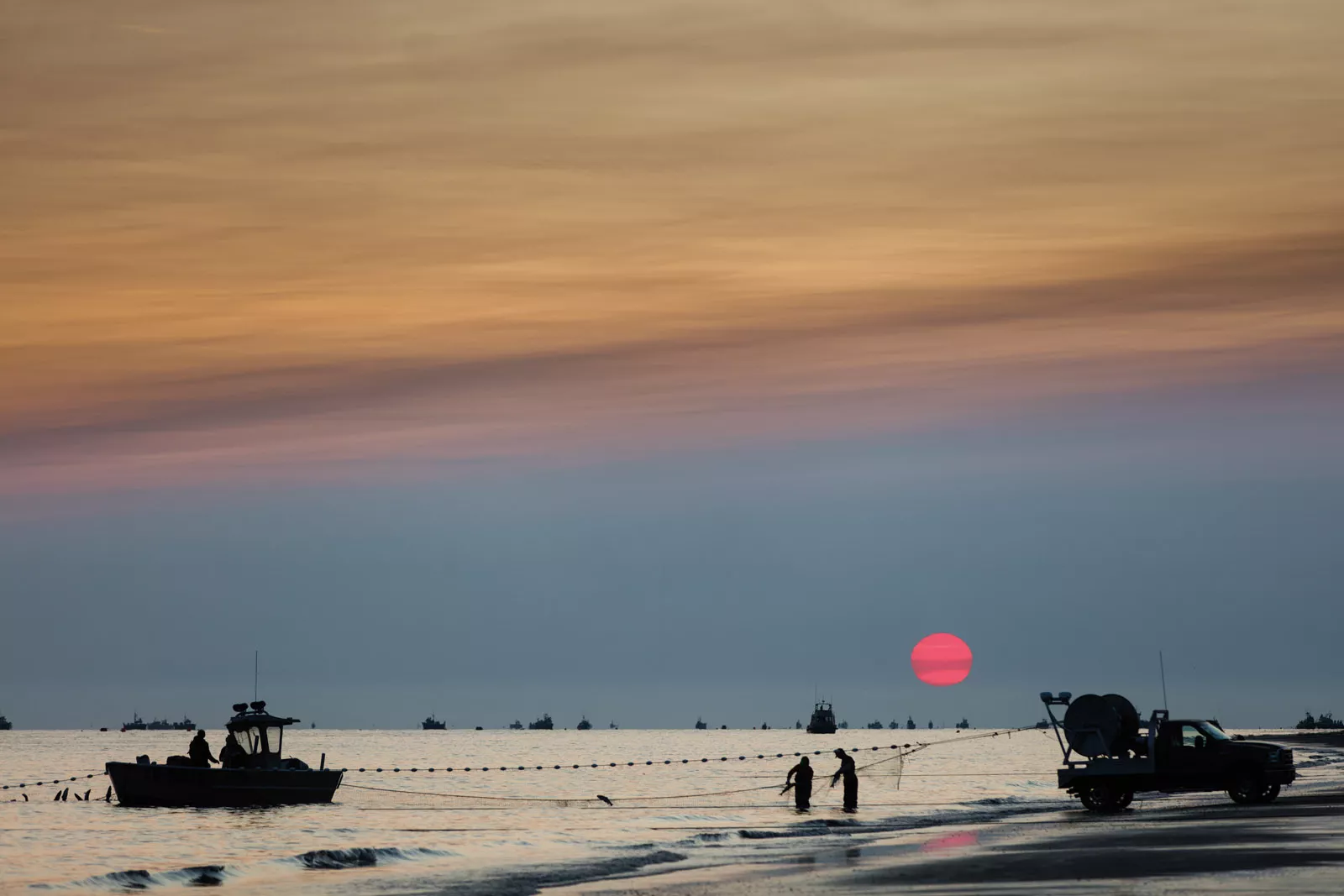 In Bristol Bay, Alaska, fishermen pull in sockeye salmon from shore-based nets  that catch the fish as they migrate upriver to spawn. “They don’t open the  fishery until enough fish have gone past the checkpoint upstream so they’ll lay  enough eggs for next year,” Steinmetz says.
