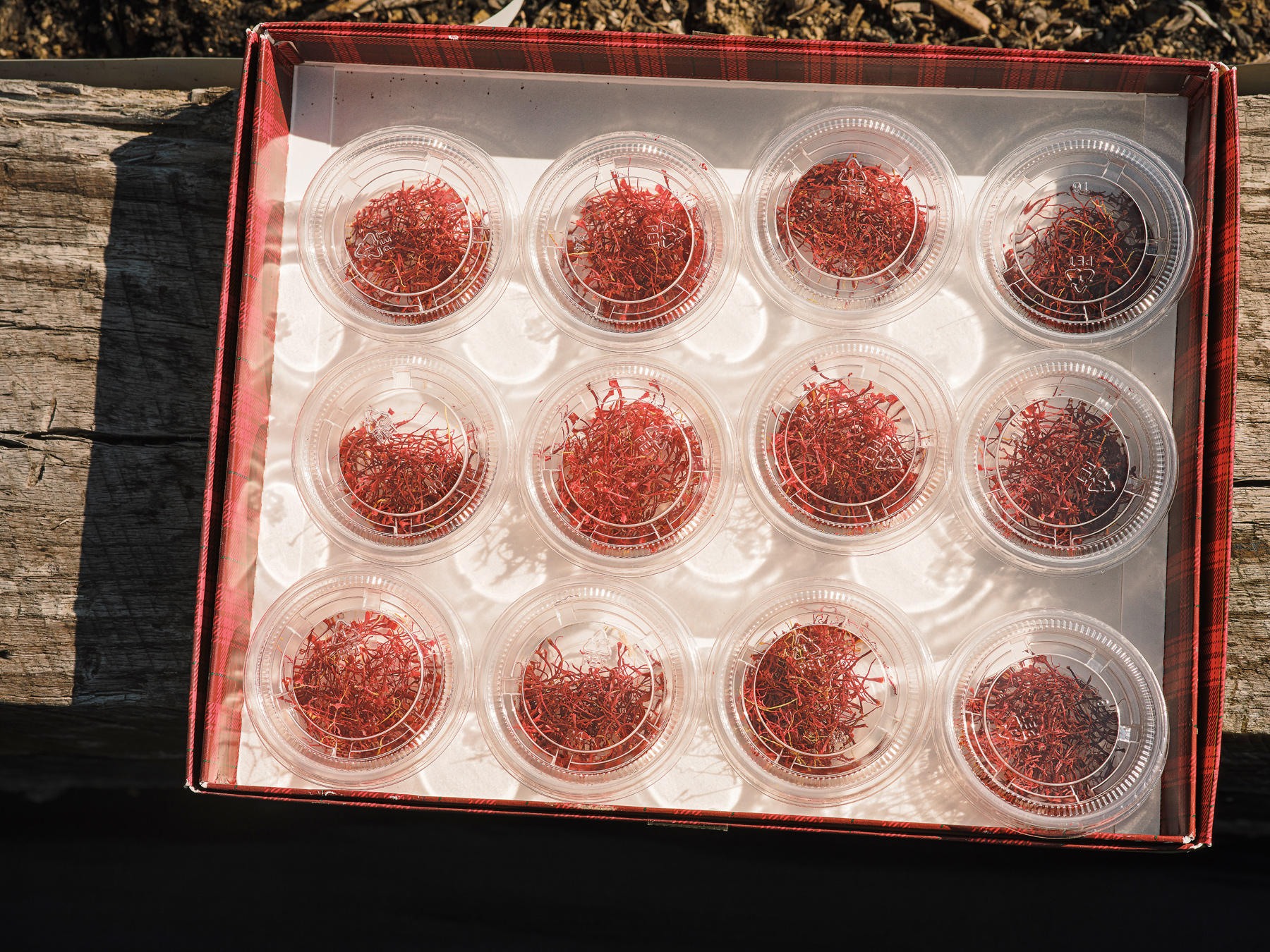 saffron in containers