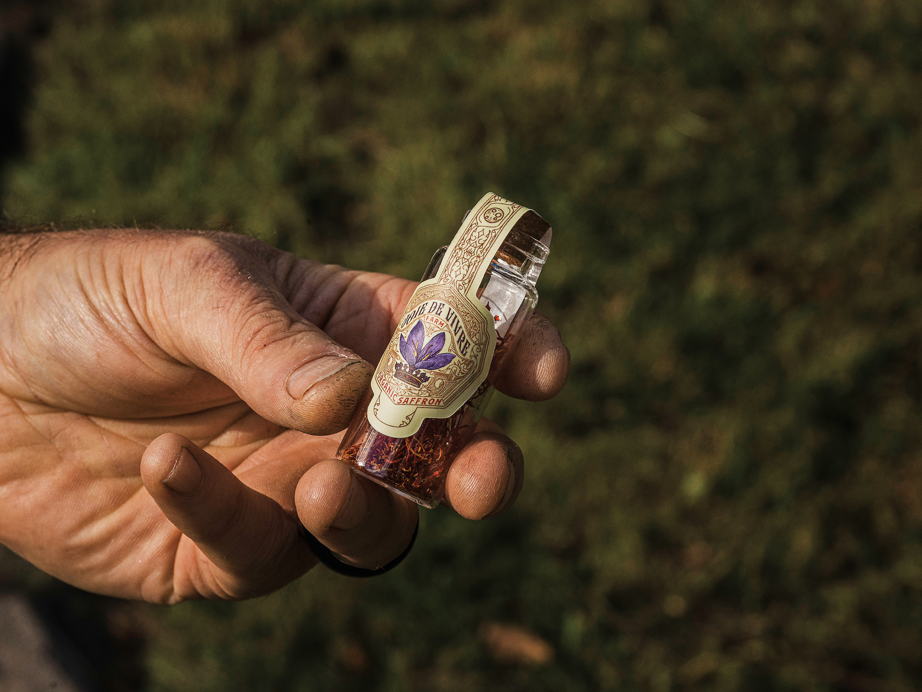 a vial containing 1 gram of saffron is ready to be sold