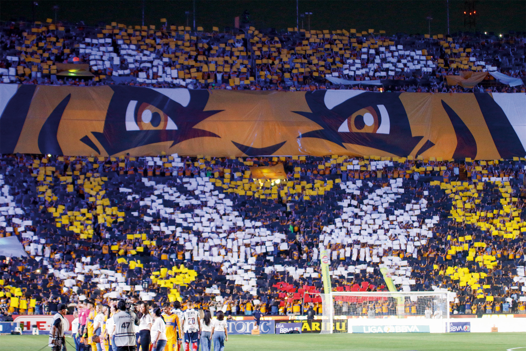 Tigres team fans choreograph placards to become living art in the form of a tiger <em>tifo</em> at a Liga MX Clausura match against Monterrey.