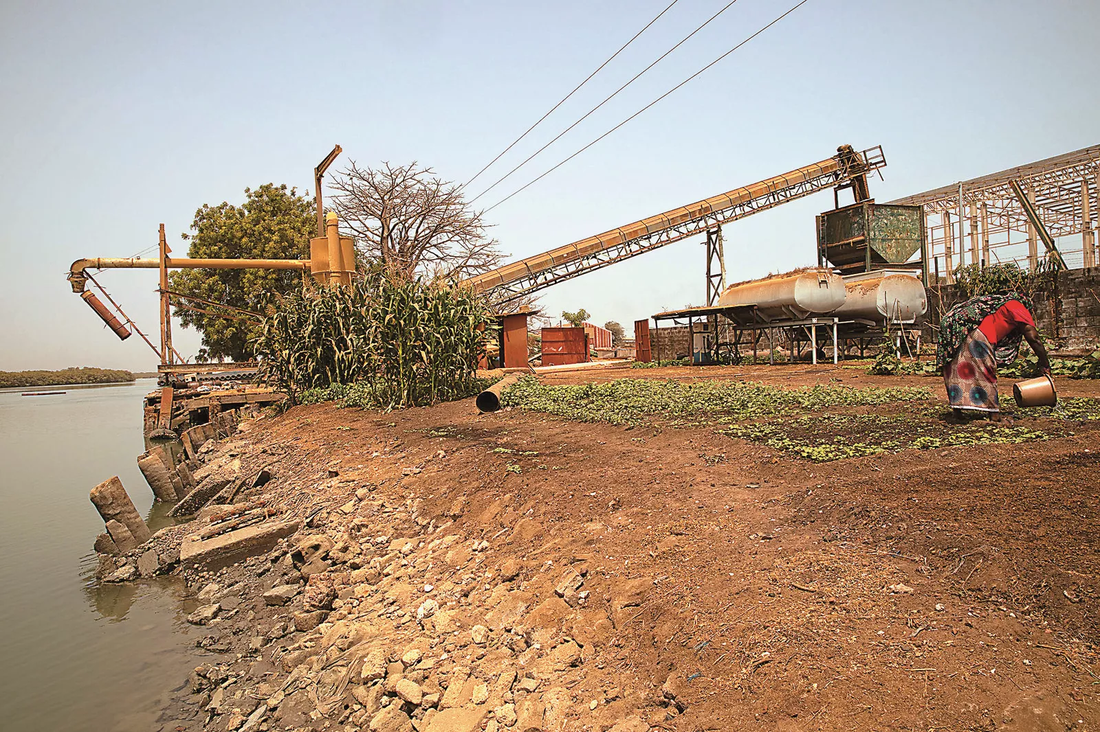 The National Food Security Processing & Marketing Corporation (NFSPMC) plant in Banjul is one of the country’s largest. The nozzle vacuums the whole groundnuts from cargo barges and drops them onto a conveyer belt. Most will be destined for export.