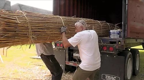 Reeds are collected thousands of miles away in Iraq. 