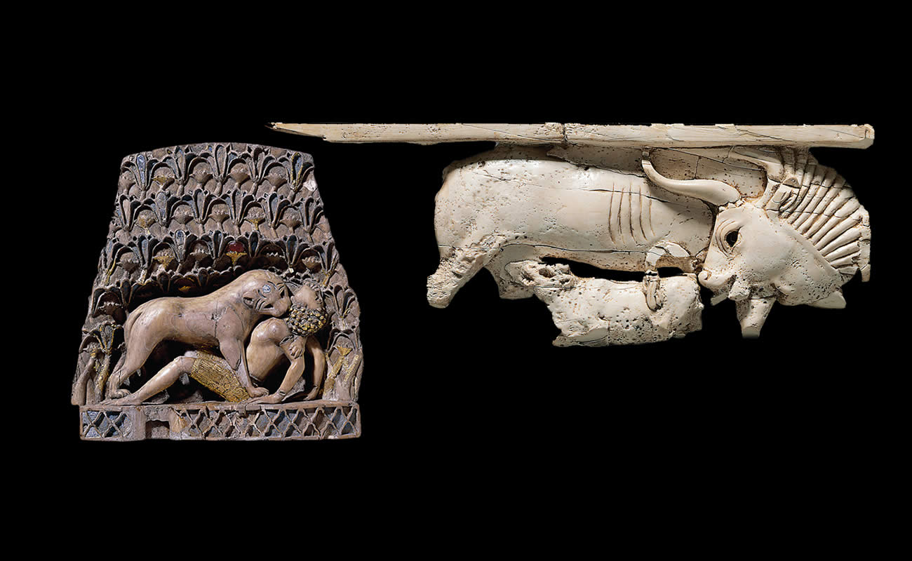 <i>Left</i>: This plaque of a lioness mauling a young man was one of a pair made by different craftsmen working in ivory, gems and gold. It was discovered by Mallowan in a well in the North West Palace, and it is now in the British Museum. Its sister plaque, once housed in the National Museum of Iraq in Baghdad, is missing. <i>Right</i>: This Phoenician-style ivory plaque showing a cow suckling its calf also comes from the North West Palace.