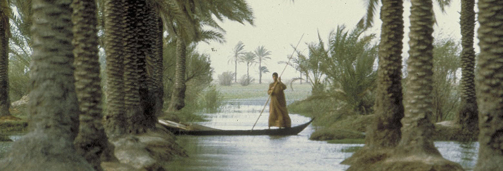 The Marsh Arabs Revisited