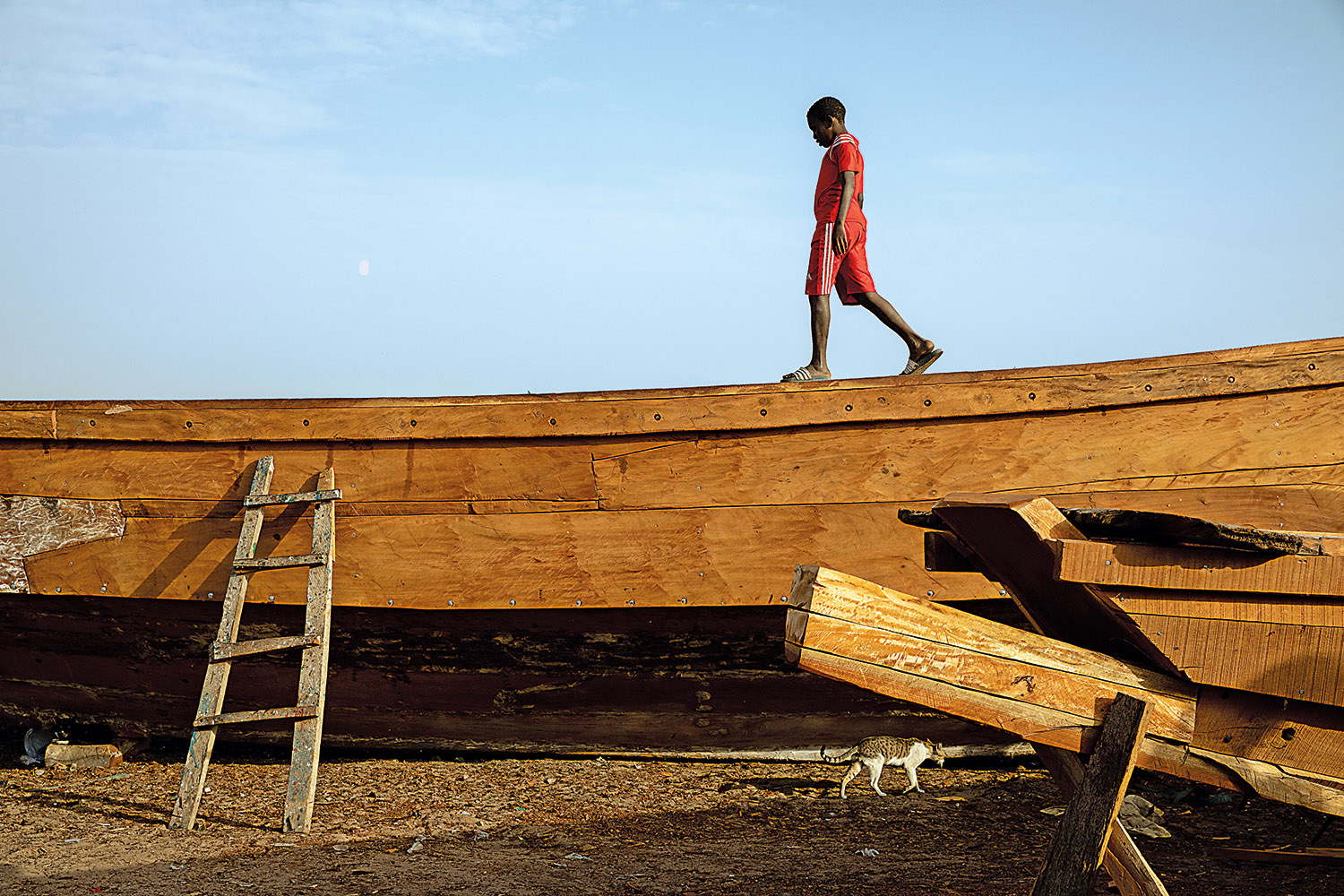 A boy and a cat pass each other near sunset along the hull of a pirogue under construction.