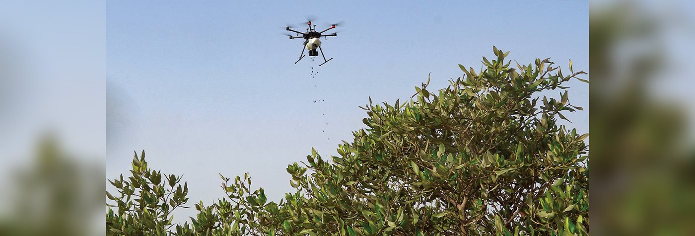Drones, Mangroves and Carbon Superpowers